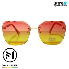 FM Vision FM 016637-1