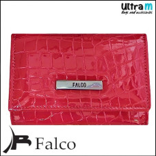Falco House 1532-42