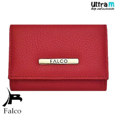 Falco House 1532-43