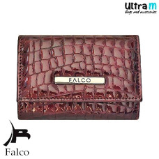Falco House 1532-71