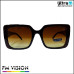 FM Vision FM 171