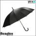 Beagles 18794