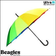 Beagles 18794