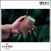 Charm London 19208