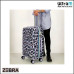 Zebra Trends 21493-24 405