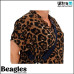 Beagles 22240 002