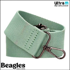 Beagles 22240 015