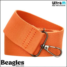 Beagles 22240 034