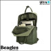 Beagles 22851 029