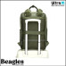 Beagles 22851 029