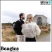 Beagles 22851 001