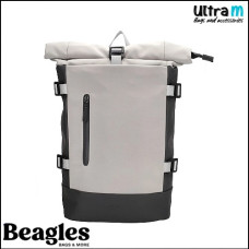 Beagles 23000 012