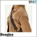 Beagles 23113 001