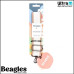 Beagles 23696 138