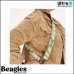 Beagles 23699 029