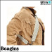 Beagles 23701 012