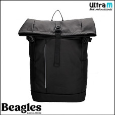 Beagles 23940 001