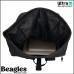 Beagles 23940 001