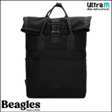 Beagles 24077 001