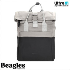 Beagles 24077 012