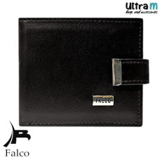 Falco House 3309