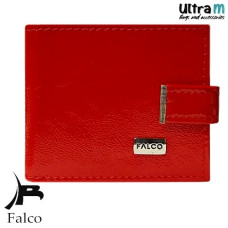 Falco House 3309-41