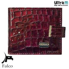 Falco House 3309 Kroko lak