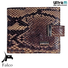 Falco House 3309-24