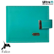 Falco House 3309-67
