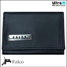 Falco House 3317