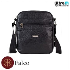 Falco House 55661