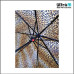 Rainy Times RD-6580-12